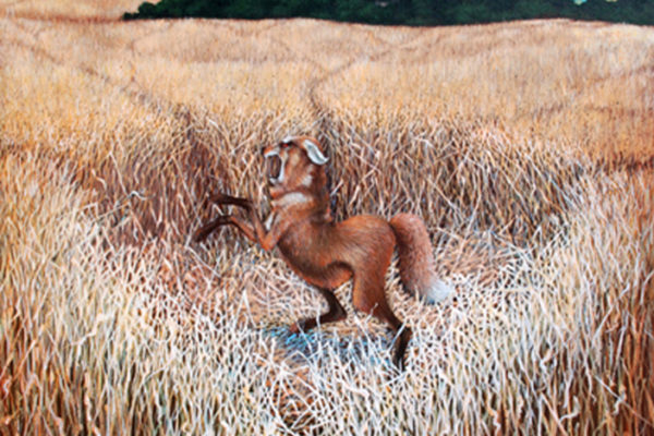 Steve Garst
