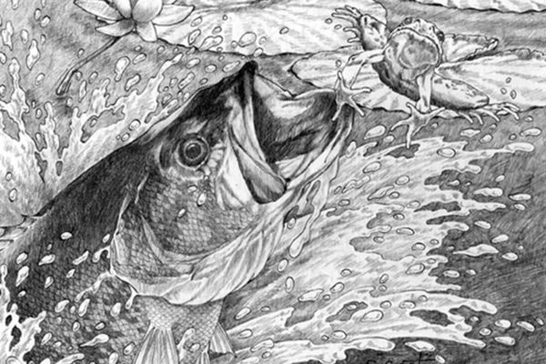 Steve Garst