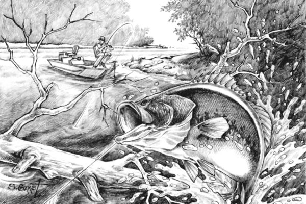Steve Garst