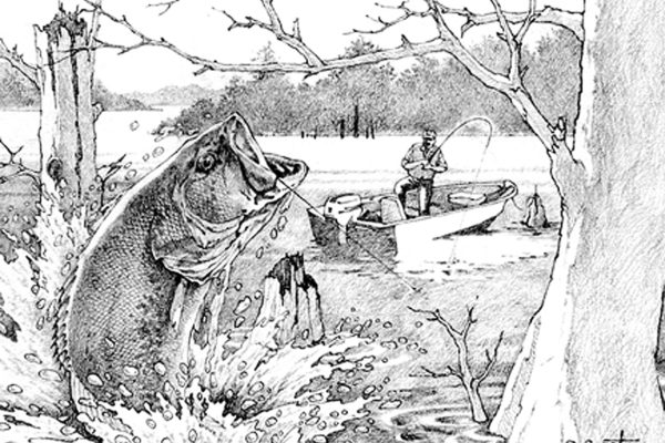 Steve Garst