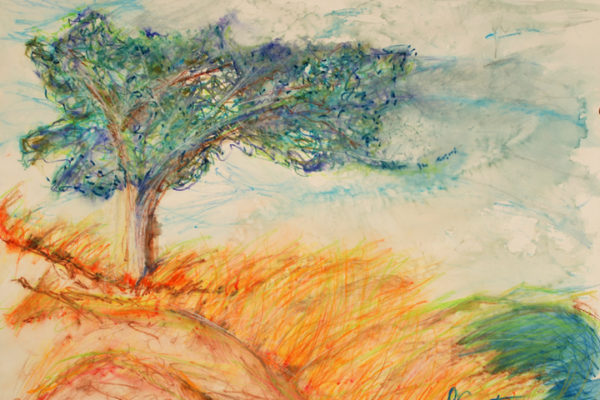 Deb Garst