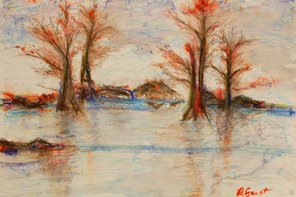 Deb Garst