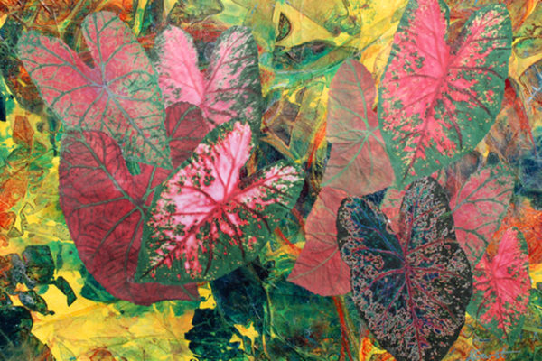 Deb Garst