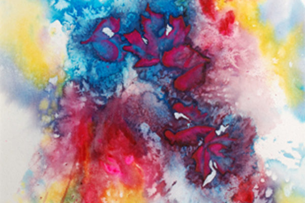 Deb Garst